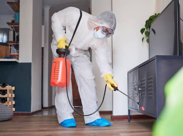 Pest-control-service-1